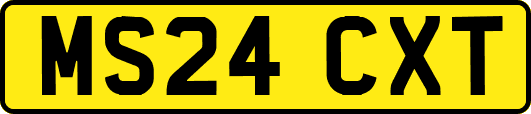 MS24CXT
