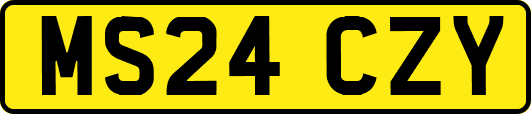 MS24CZY