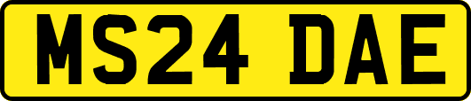 MS24DAE