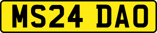 MS24DAO