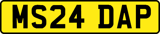MS24DAP