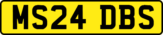 MS24DBS
