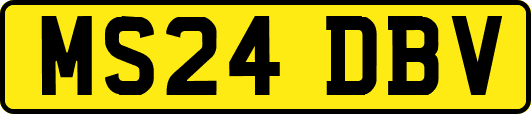 MS24DBV