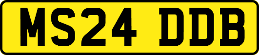 MS24DDB