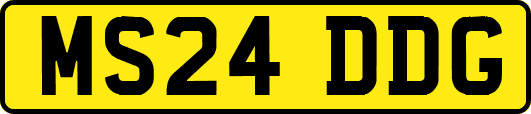MS24DDG