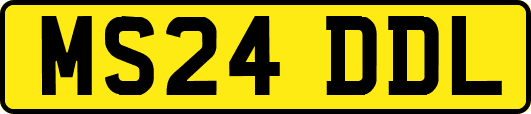 MS24DDL