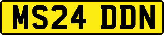 MS24DDN
