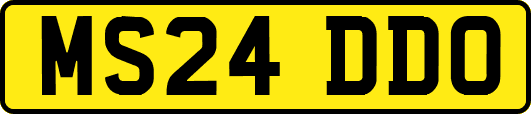 MS24DDO