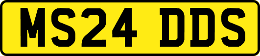 MS24DDS