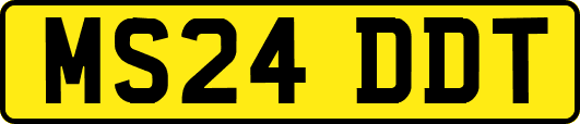 MS24DDT