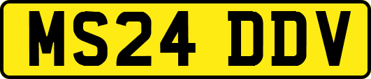MS24DDV