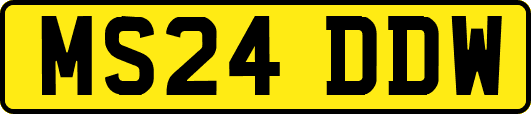 MS24DDW