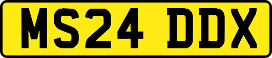 MS24DDX