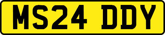 MS24DDY