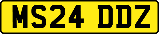 MS24DDZ