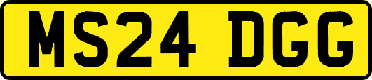 MS24DGG