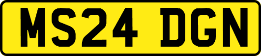 MS24DGN