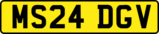 MS24DGV