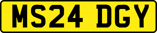 MS24DGY