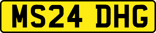 MS24DHG