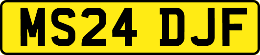 MS24DJF