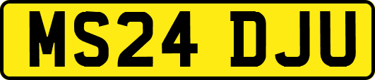 MS24DJU