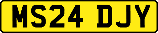 MS24DJY