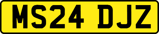 MS24DJZ