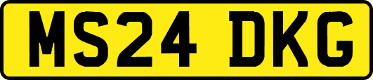 MS24DKG
