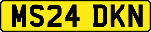 MS24DKN