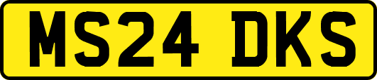 MS24DKS