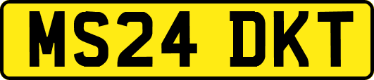 MS24DKT