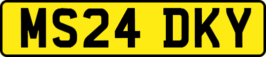 MS24DKY