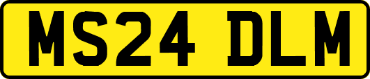MS24DLM