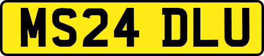 MS24DLU