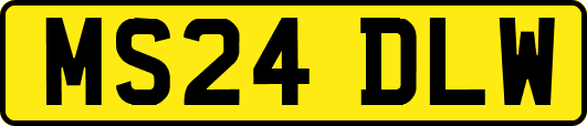 MS24DLW