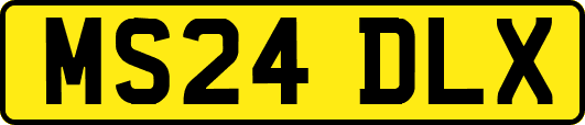 MS24DLX