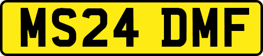 MS24DMF