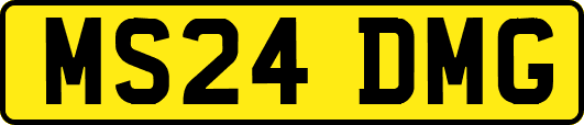 MS24DMG
