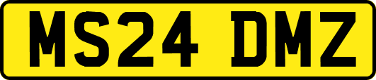 MS24DMZ