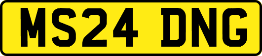 MS24DNG