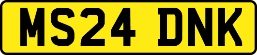 MS24DNK