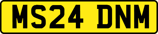 MS24DNM