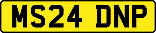MS24DNP