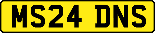 MS24DNS