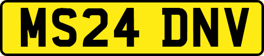 MS24DNV