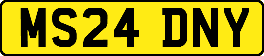 MS24DNY