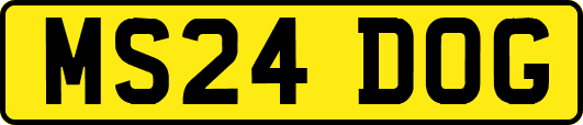 MS24DOG