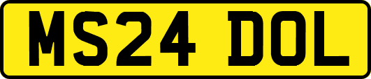 MS24DOL