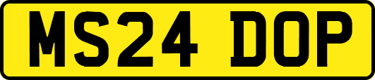 MS24DOP